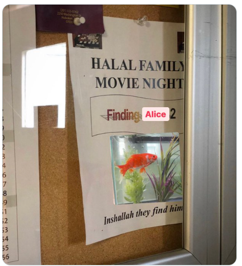 有人將電影名稱《Finding Nemo》改成《Finding Alice》。(互聯網)