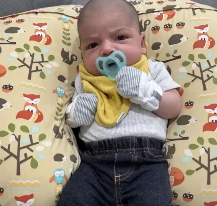 Ezra5月24日在嬰兒床睡覺時,竟被雪橇犬攻擊導致頭部重創。(網上圖片)