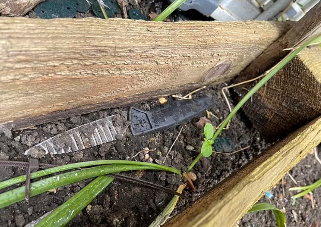 一把刀遺留在花槽內。(互聯網)