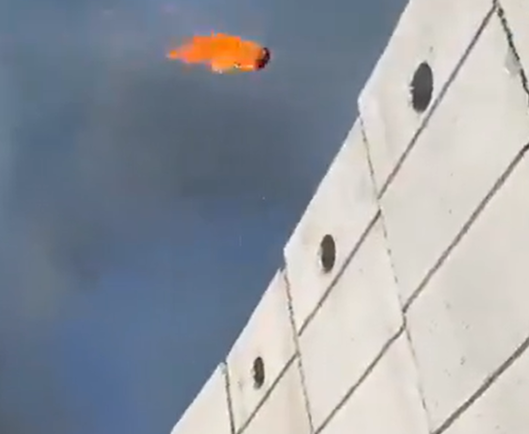 以色列士兵以一座投石機,不斷對圍牆另一邊投擲燃燒彈(社交平台X影片)