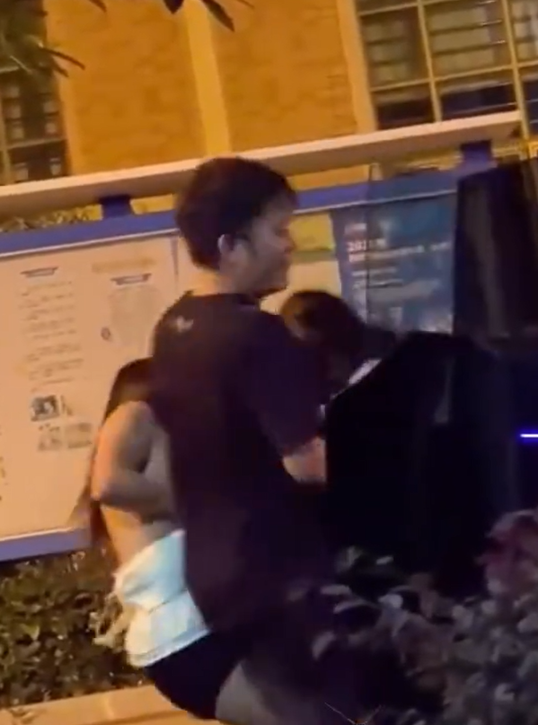 東莞發生一宗街頭捉姦戲碼,一名男子在妻子的Tesla上與情婦「車震」期間觸動警報,妻子到場查看後驚現丈夫外遇,憤怒得當街扯破情婦上衣,影片於社交平台流傳。