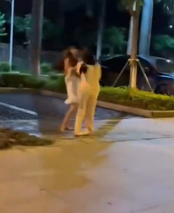 東莞發生一宗街頭捉姦戲碼,一名男子在妻子的Tesla上與情婦「車震」期間觸動警報,妻子到場查看後驚現丈夫外遇,憤怒得當街扯破情婦上衣,影片於社交平台流傳。