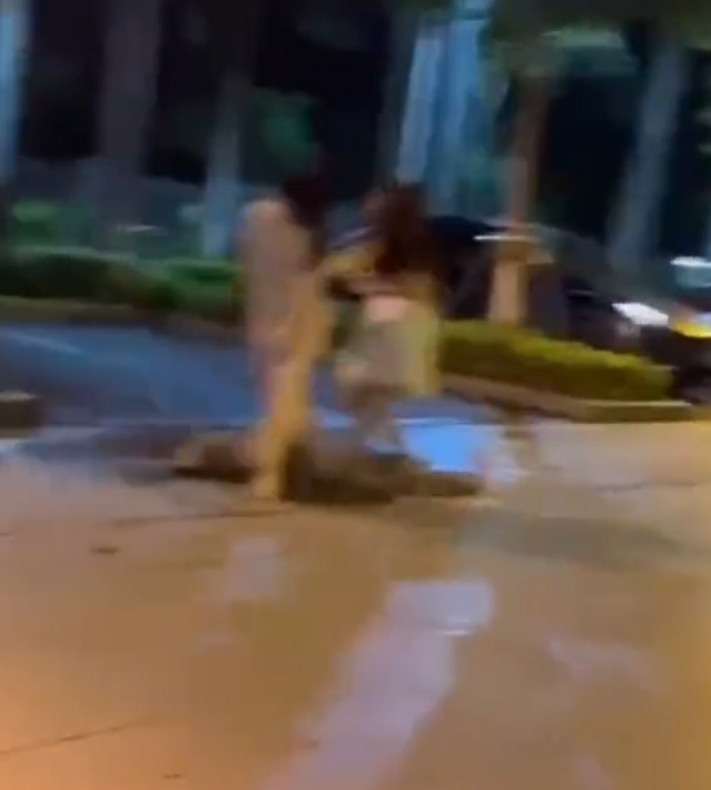 東莞發生一宗街頭捉姦戲碼,一名男子在妻子的Tesla上與情婦「車震」期間觸動警報,妻子到場查看後驚現丈夫外遇,憤怒得當街扯破情婦上衣,影片於社交平台流傳。