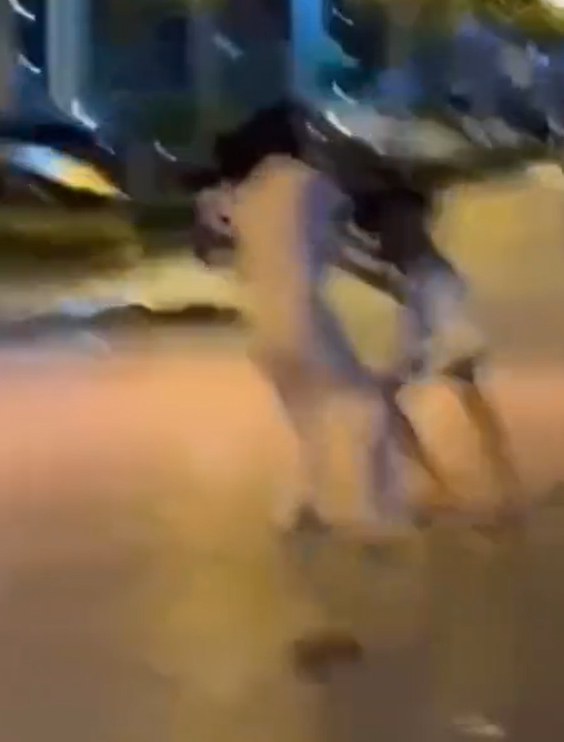 東莞發生一宗街頭捉姦戲碼,一名男子在妻子的Tesla上與情婦「車震」期間觸動警報,妻子到場查看後驚現丈夫外遇,憤怒得當街扯破情婦上衣,影片於社交平台流傳。