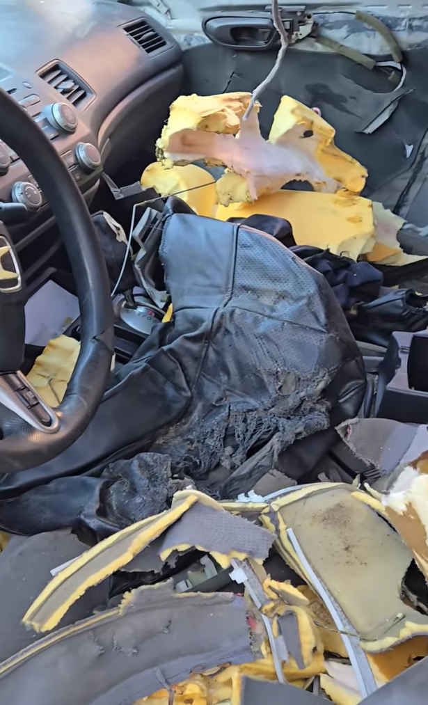 加拿大一名女子的車窗去年遭到黑熊破壞,當局隨後將這頭熊送到200公里外,沒想到這頭熊今年回來「復仇」,再次闖入她的汽車搞破壞