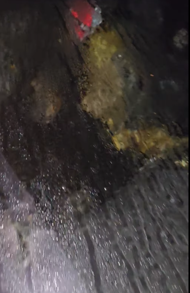 黑熊正在打瞌睡,不僅在車內大便,還破壞汽車座椅跟車門。