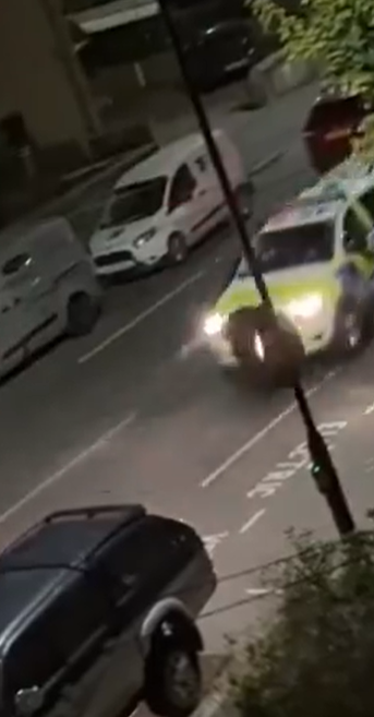 小牛其後走到馬路上,及後一輛警車全速駛至撞小牛,牠被撞飛數米外倒地。