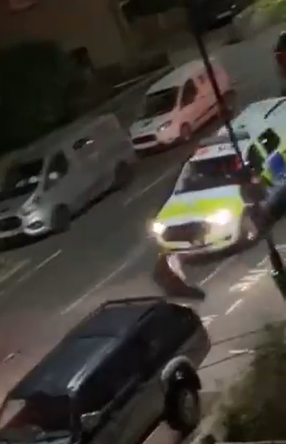 小牛其後走到馬路上,及後一輛警車全速駛至撞小牛,牠被撞飛數米外倒地。