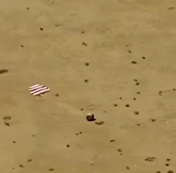 嫦娥六號探測器在內蒙古四子王旗着陸場着陸。(影片截圖)