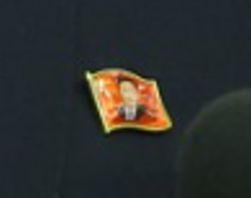 新的金正恩襟章。(互聯網)