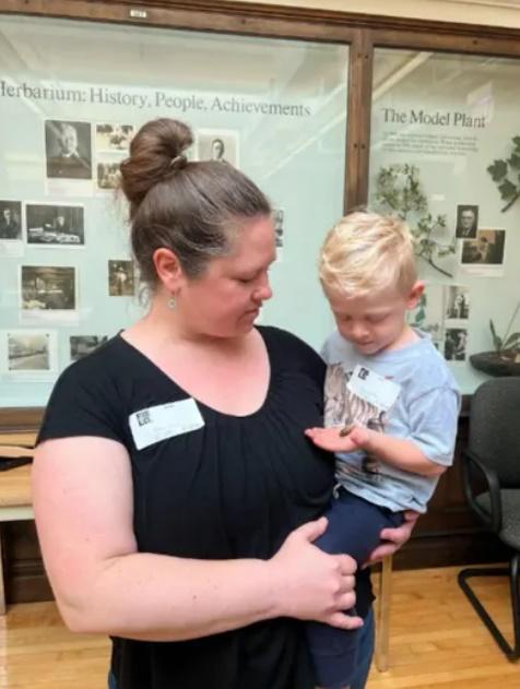 這家人其後將這藍眼蟬捐贈給芝加哥一間博物館。(X)