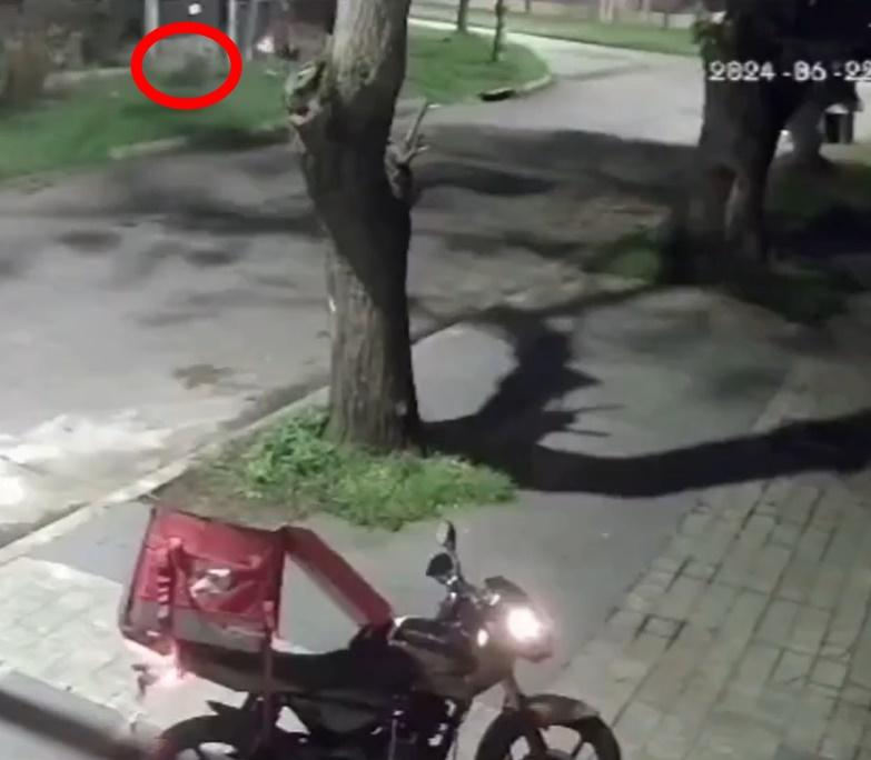 外賣員轉移目標至另一賊人,經一番追逐,當場將對方斬至倒地。(X)