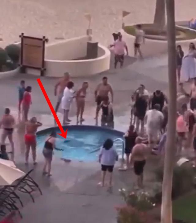 池中隱約有人的身影載浮載沉。(X)