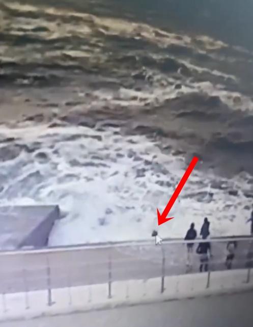 她的朋友和附近的人欲救無從。(X)