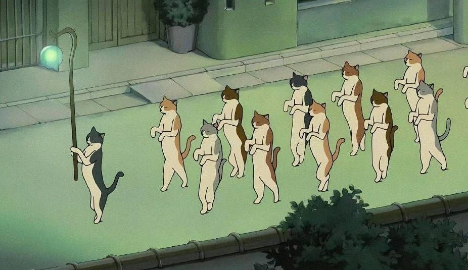 網民:水豚版的《貓之報恩》。(X)