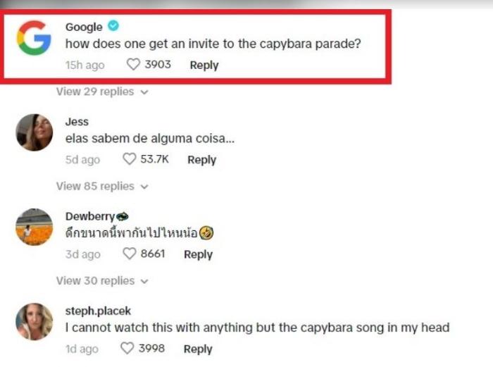 Google的官方帳號都來到Luciana的影片下留言。(X)