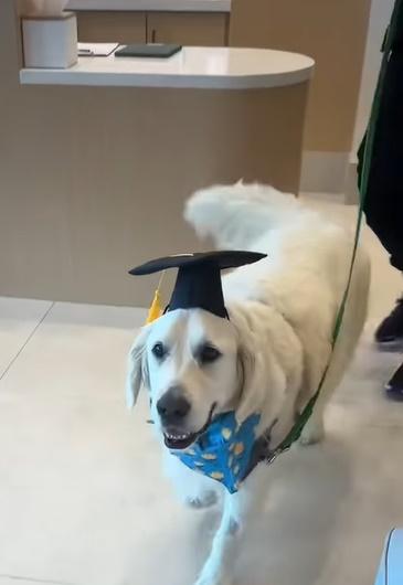 Dundar頭戴著畢業帽,開心地從門後走出。(FB)