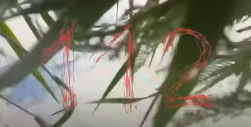 當他設法拉開備用傘時已經來不及,鏡頭一陣晃動後摔落在草地上。(YouTube)