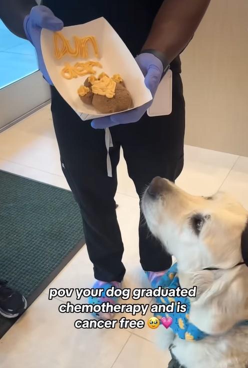 Dundar急不及待要大口吃下這份意義非凡的美食。(FB)