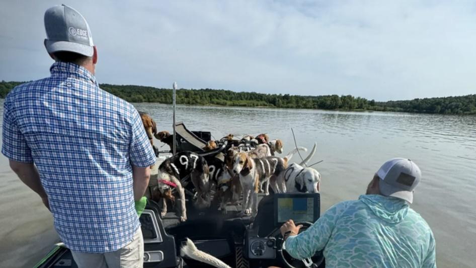 他們之後再出艇返去營救其他狗狗,往返了3次,終於救起合共38隻獵犬。(網上圖片)