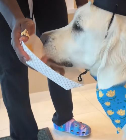 Dundar急不及待要大口吃下這份意義非凡的美食。(FB)