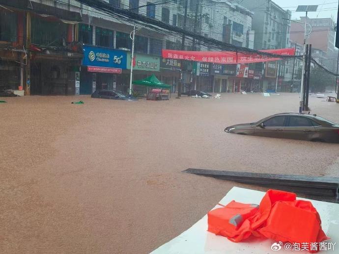 湖南五強溪鎮遭暴雨襲擊。(網上圖片)