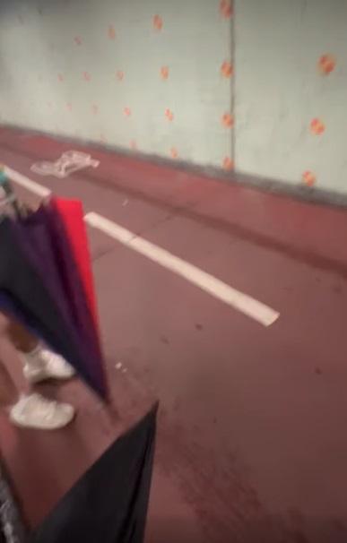 網上熱話|的士司機懷疑揸入行人隧道。(網片截圖)