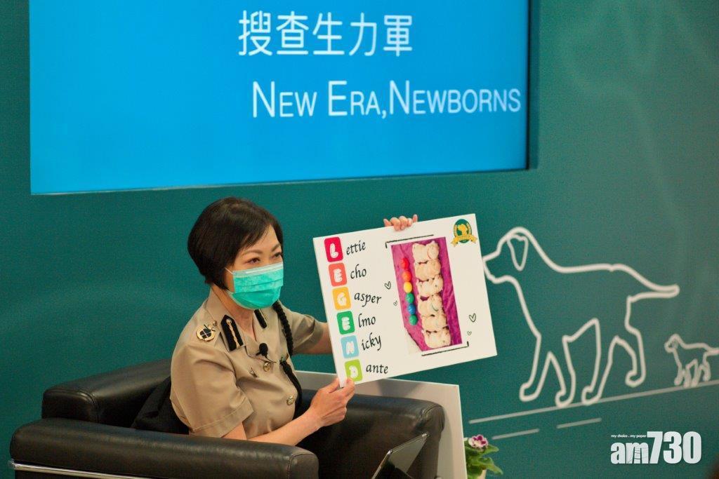 吳潔貞過往不時接受媒體訪問,譬如疫後通關以及海關自行繁殖搜查犬等,都可以見到她的身影。(資料圖片)