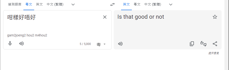 Google翻譯開通支援廣東話,《am730》記者實測並非全部準確。