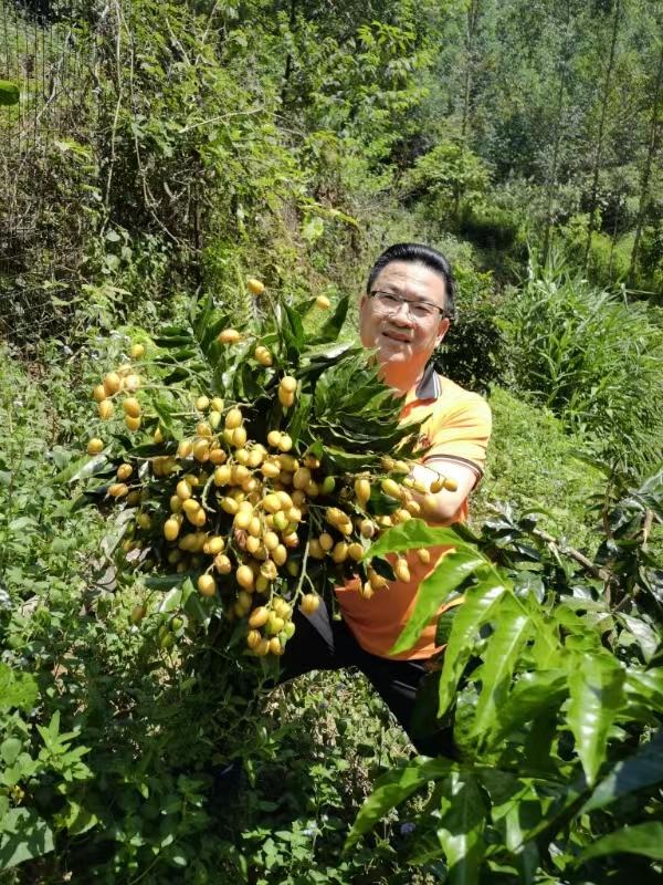 60多萬平方米的「衍安生態園」,彭生親力親為打理生態園。