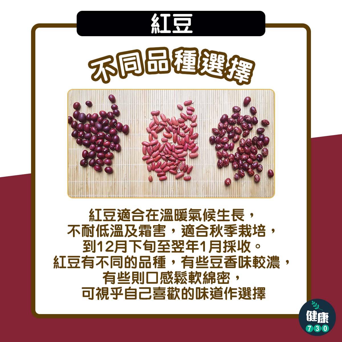 紅豆功效|不同品種的選擇(am730製圖)
