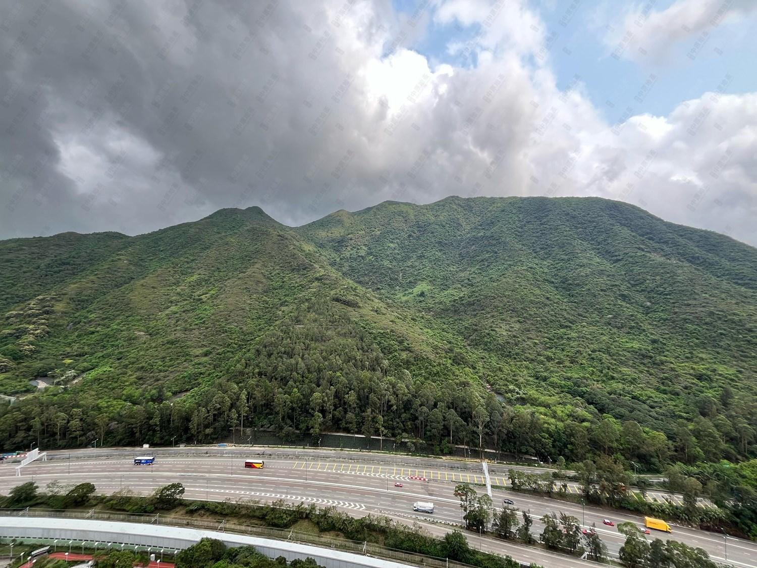 全屋每扇窗均面向翠綠山景。(代理提供)