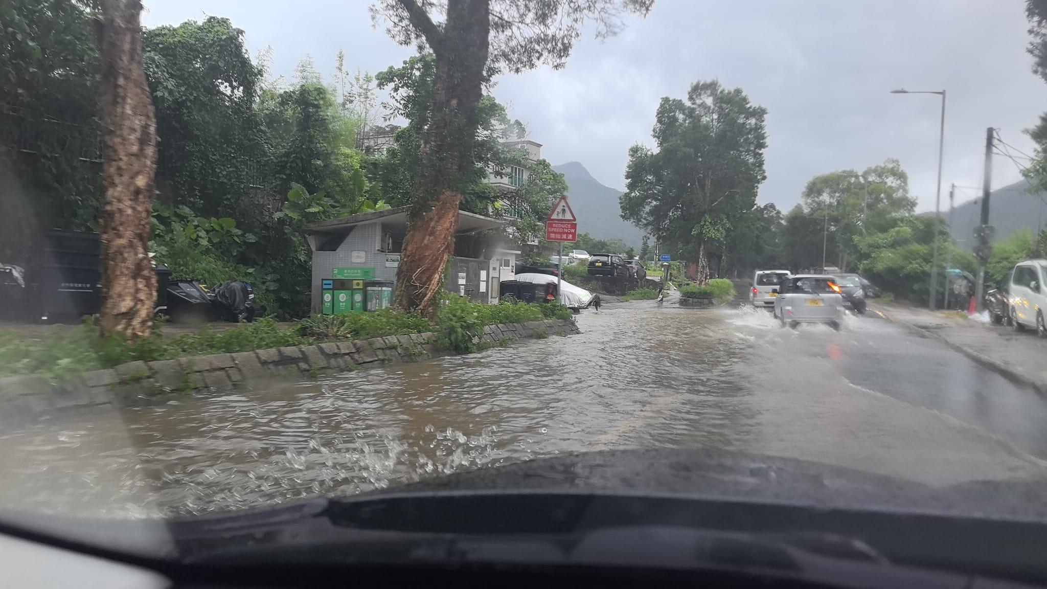 大埔林村有村落出現水浸。(網上圖片)