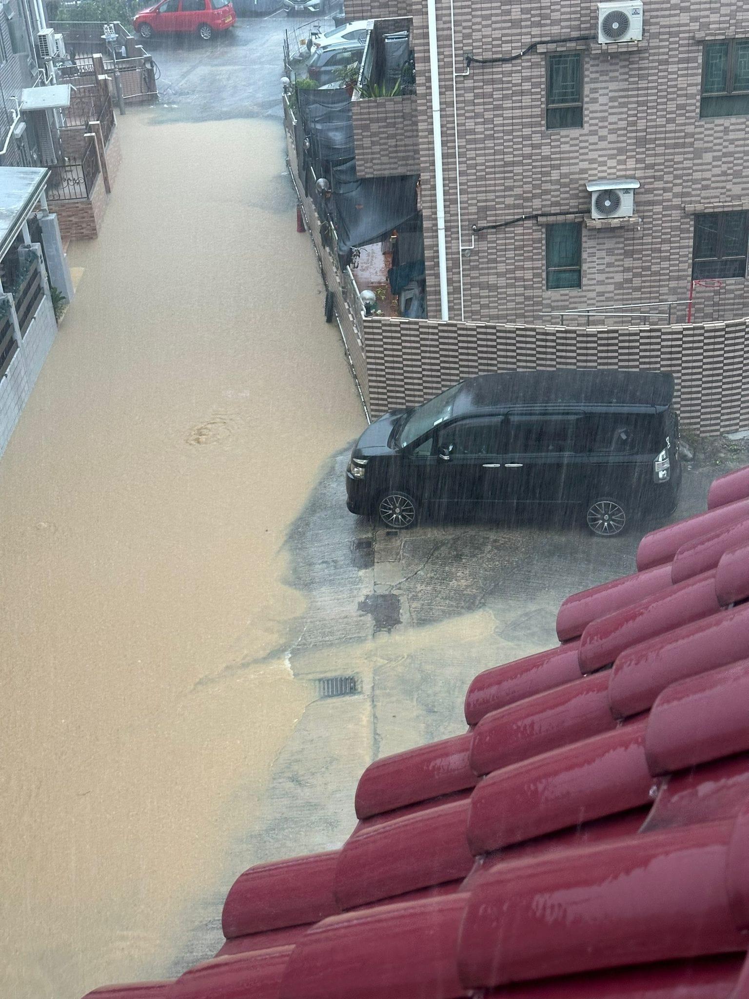 大埔林村有村落出現水浸。(網上圖片)