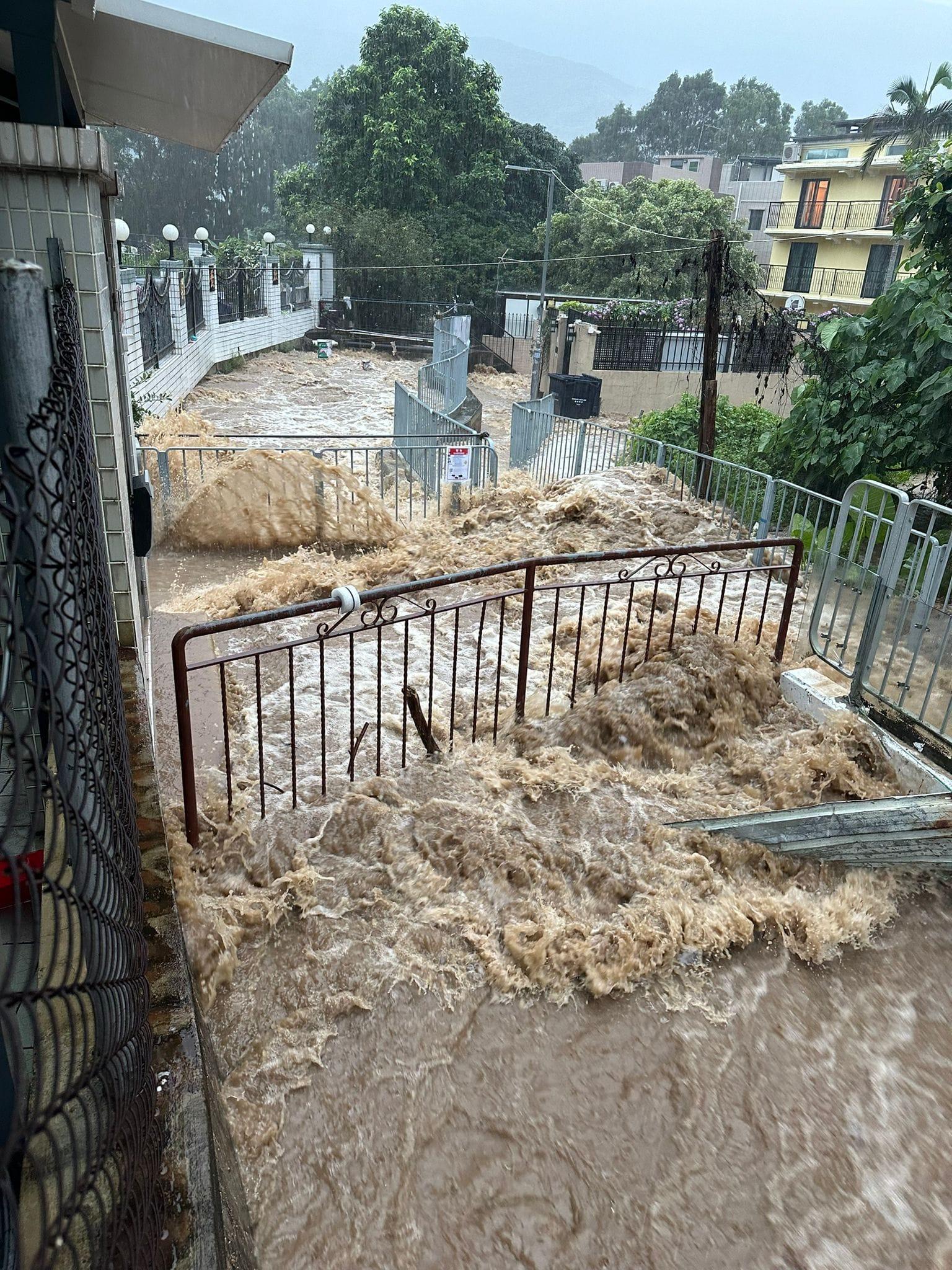 大埔林村有村落出現水浸。(網上圖片)