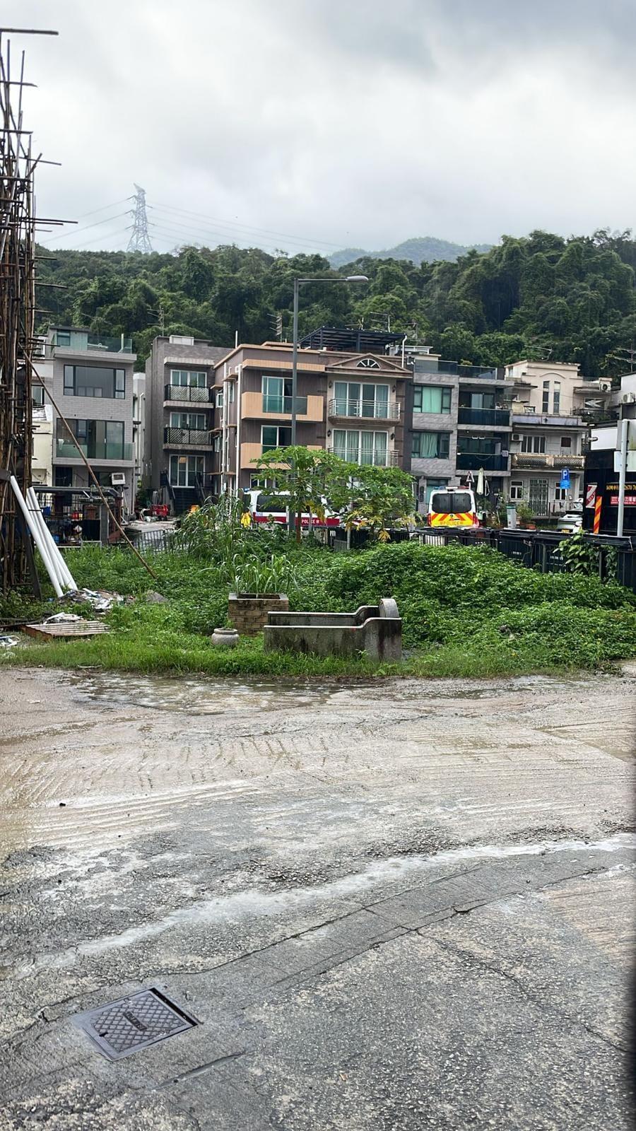 大埔林村有村落出現水浸。(網上圖片)