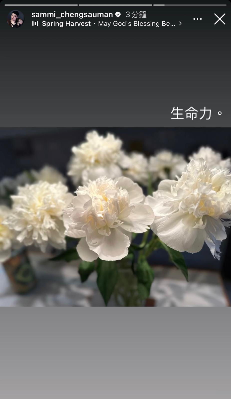 Sammi曾貼出鮮花,隔空為Wallace打氣。