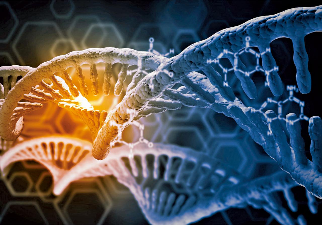 天使綜合症 基因變異