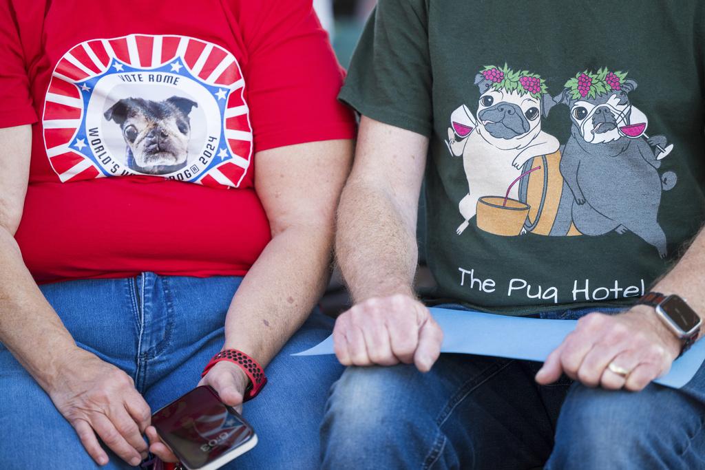 世界最醜狗狗比賽在美國加州舉行,民眾穿著T恤為狗狗拉票。(美聯社)