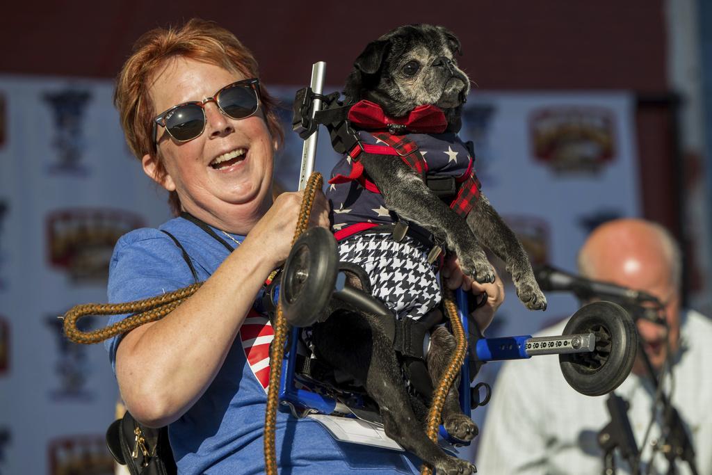 今年世界最醜狗狗比賽在美國加州舉行,第二名是來自加州的Rome。(美聯社)