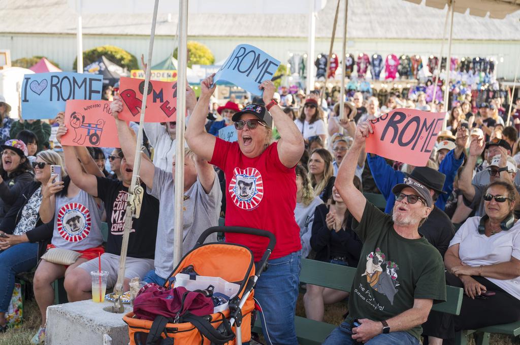 粉絲們為狗狗Rome舉牌打氣。(美聯社)