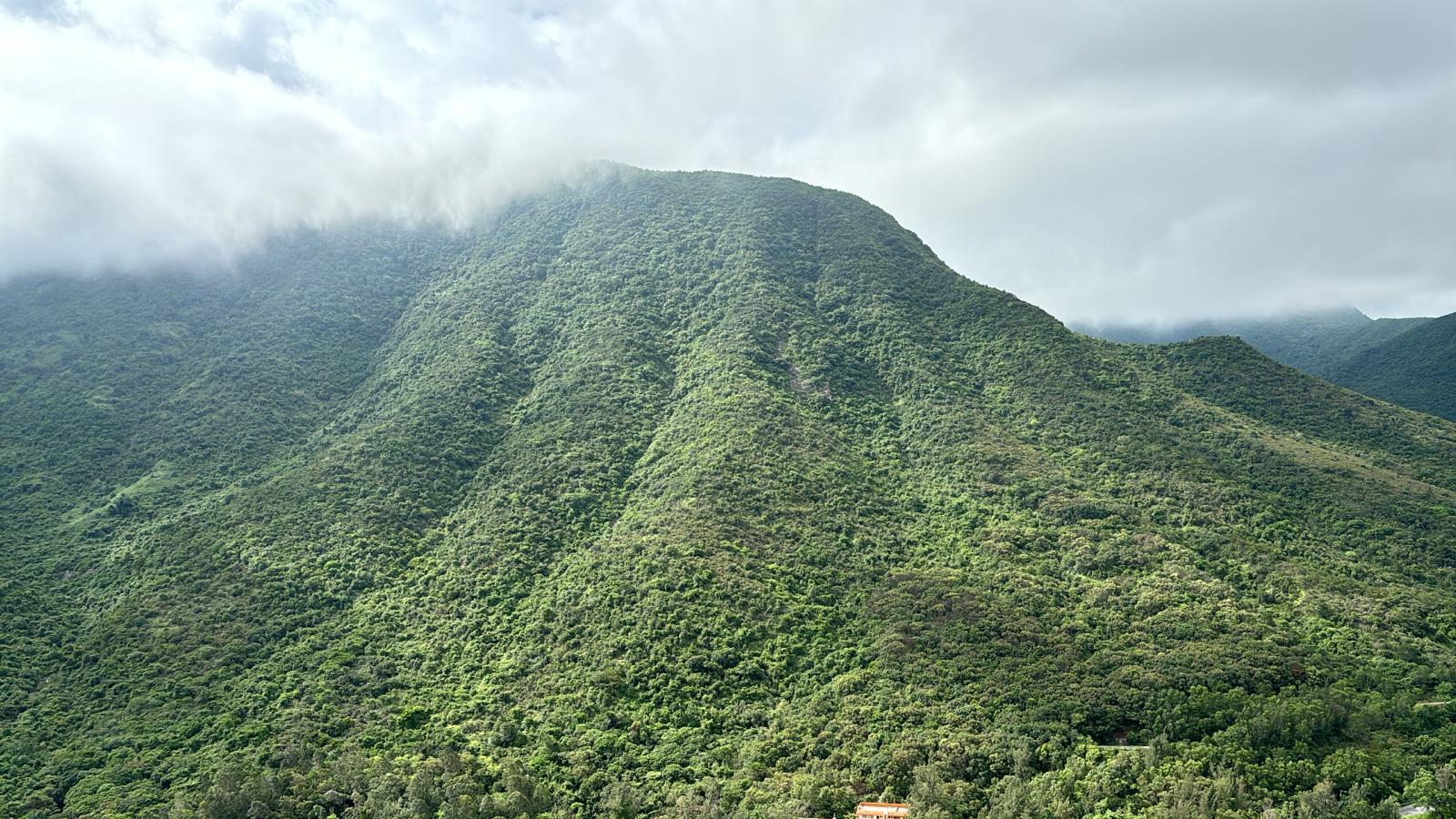 翠綠山巒景色,清幽舒服。(代理提供)