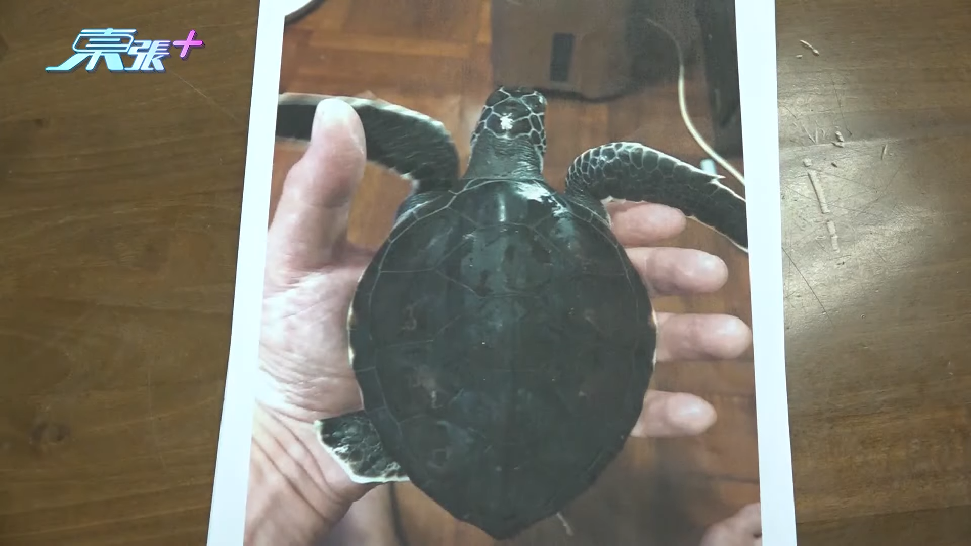 郭秀文展示主人留下的照片及信件。