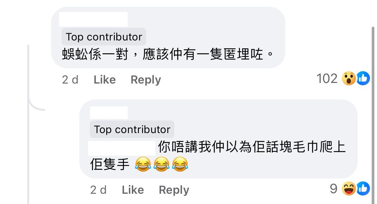 圖片來源:Facebook@大埔人大埔谷