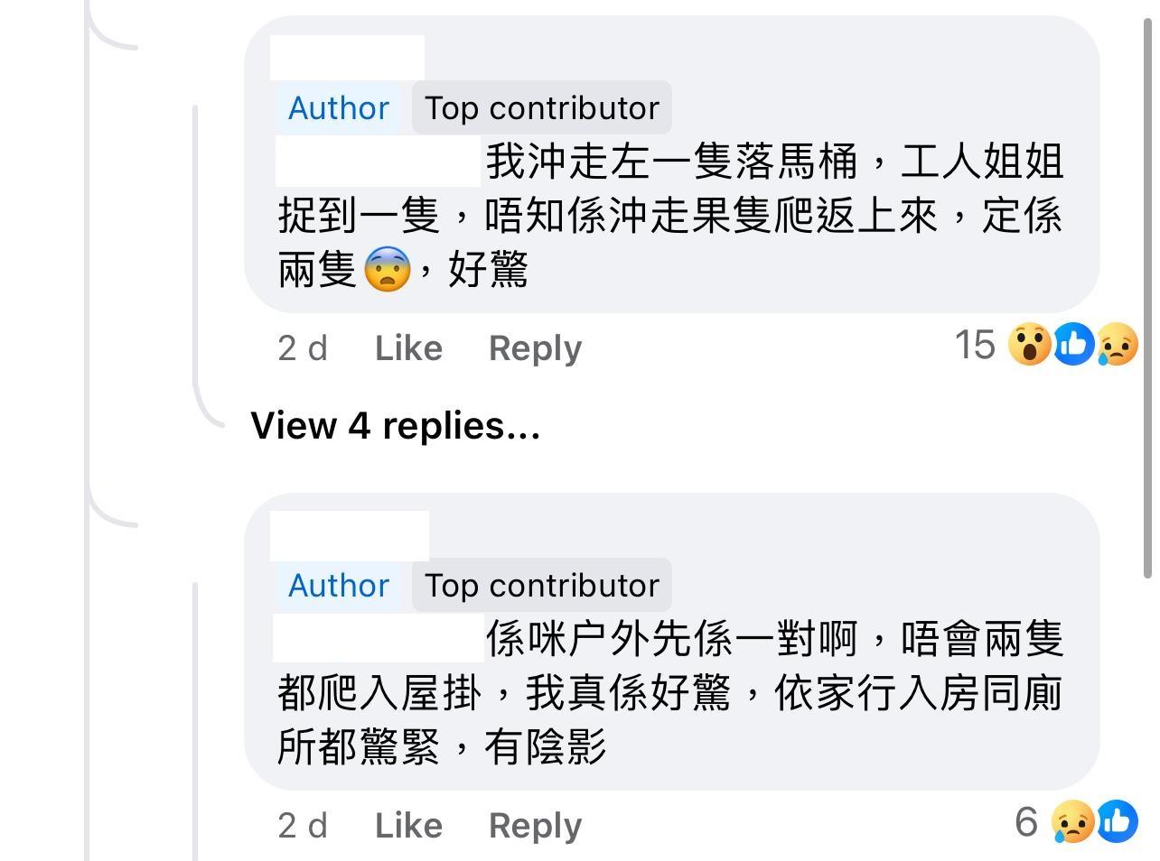 圖片來源:Facebook@大埔人大埔谷