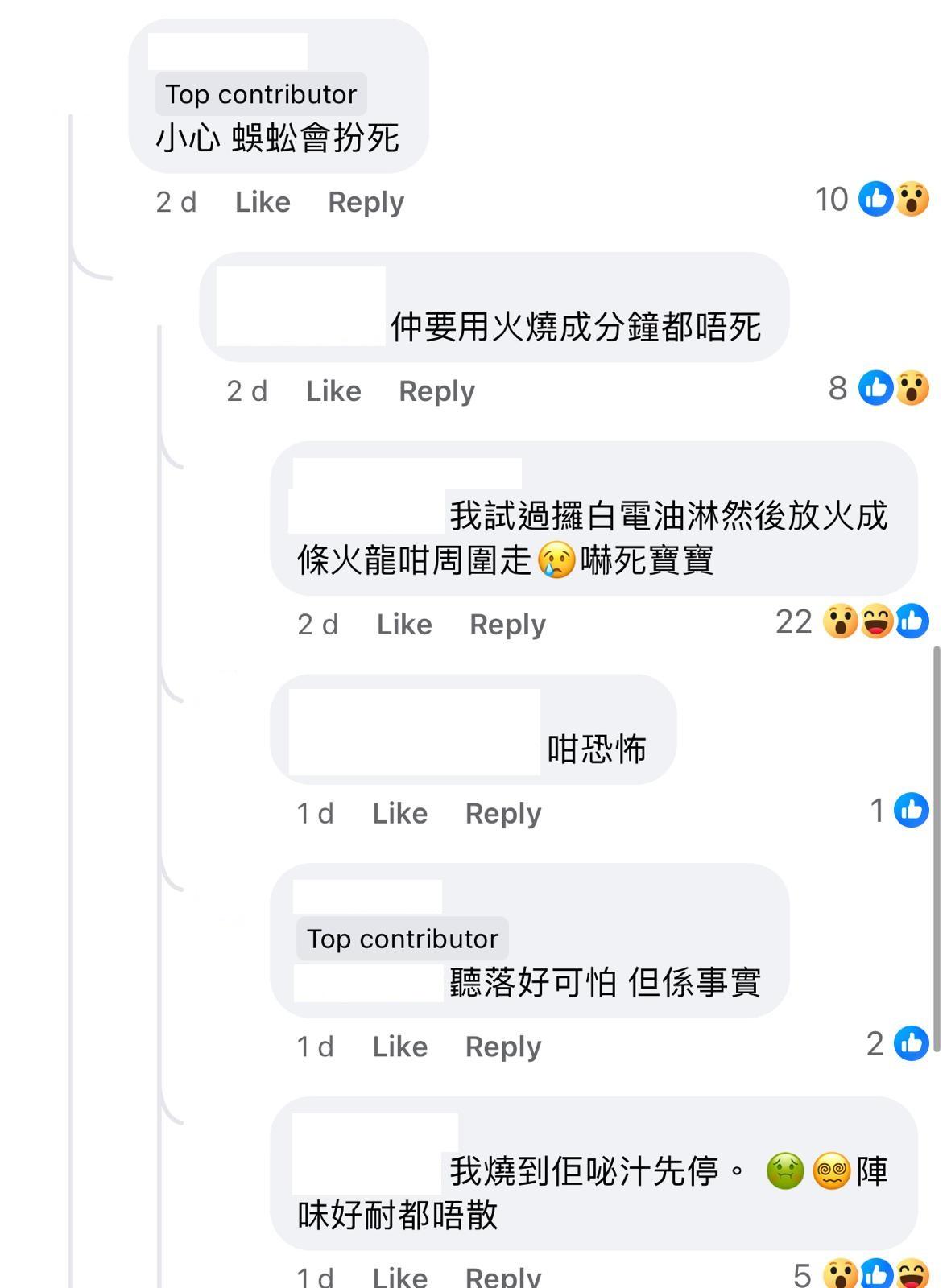 圖片來源:Facebook@大埔人大埔谷