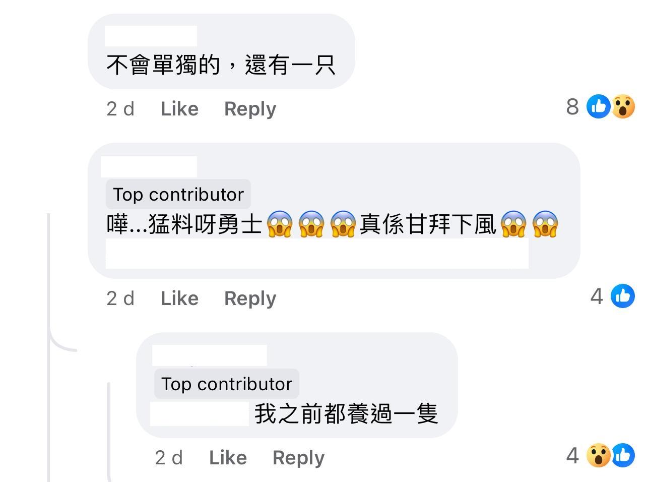 圖片來源:Facebook@大埔人大埔谷