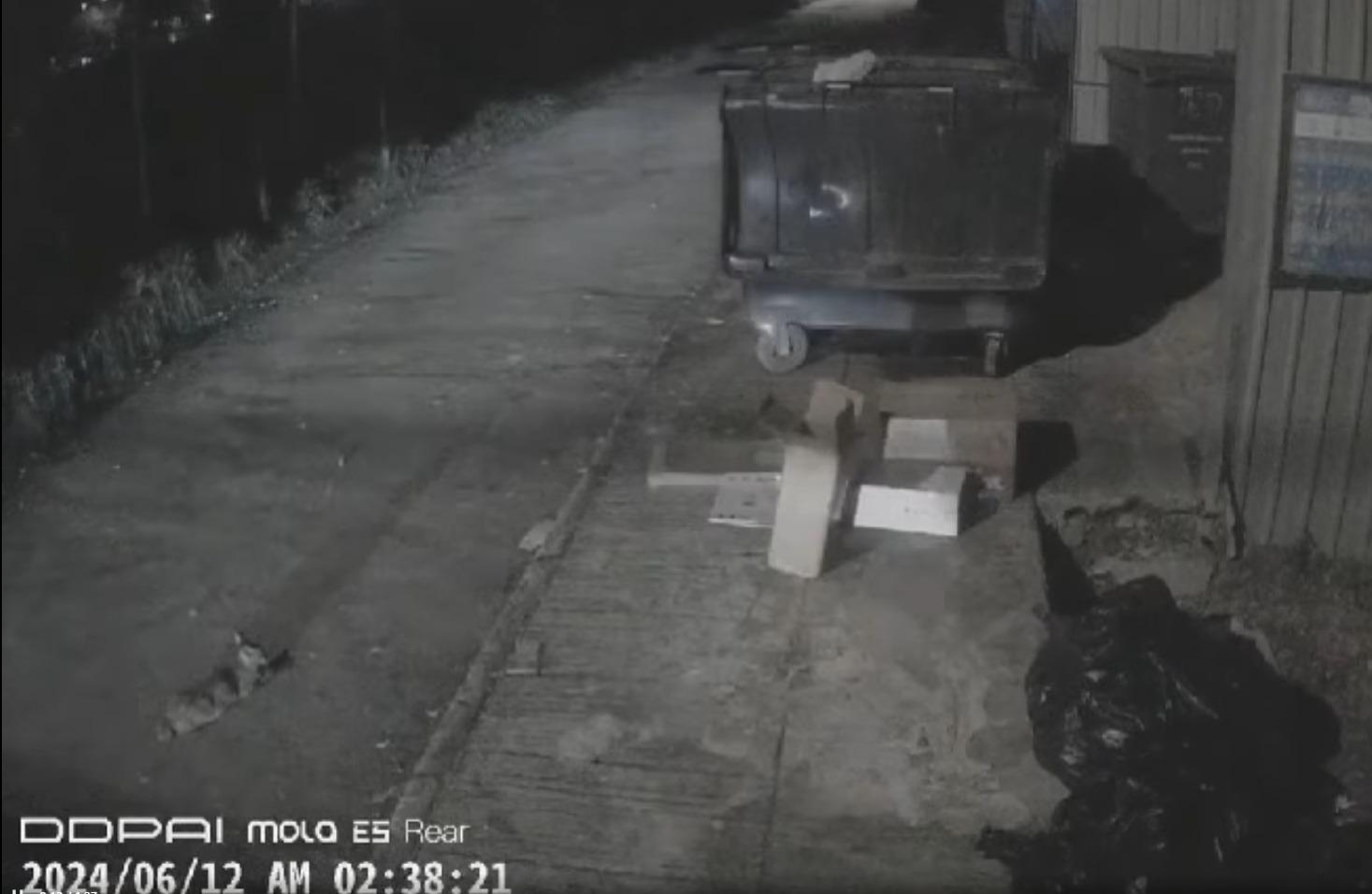 (@FB車cam L-香港群組/Kin Wu Wu影片截圖)