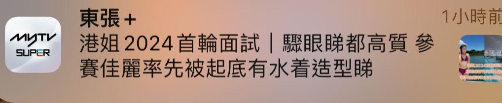 無綫以「驟眼睇都高質」去形容今屆面試佳麗。