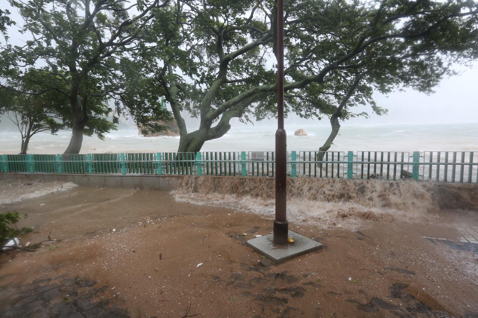颱風回顧|鯉魚門三家村
